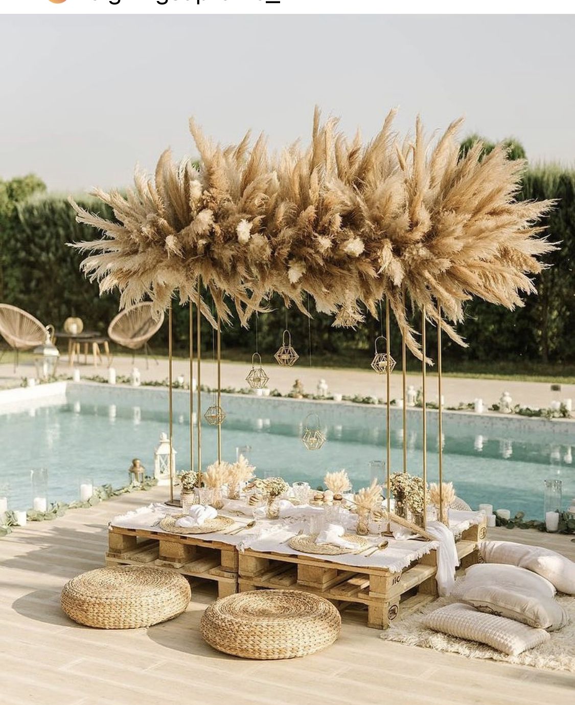 Beach Picnic Setup