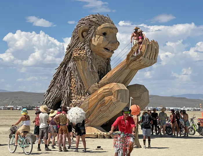 Burning Man – “Desert Mirage”