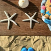 Coastal Reef Realistic Starfish Set – Decorative Resin Starfish (Set of 2)