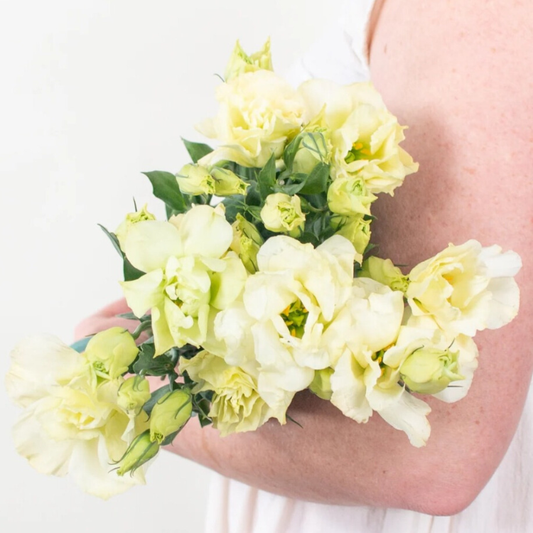 Cream Lisianthus - 10 stem