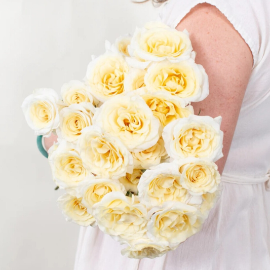 Butter Yellow Spray Roses - 50 stem