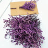 Provence Faux Lavender Bundle – Mini Artificial Lavender Stems (15cm)