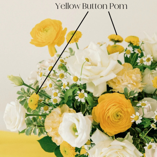 Yellow Ranunculus Flower - 60 stem