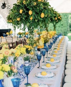 🇮🇹 Amalfi Lemon Tree