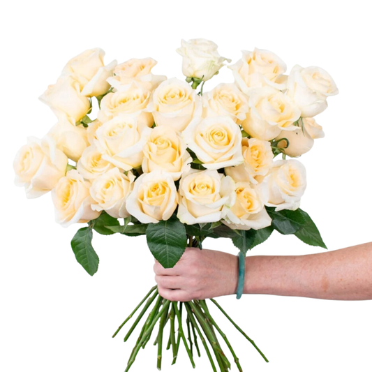 Butter Yellow Creme de la Creme Roses - 25 stem