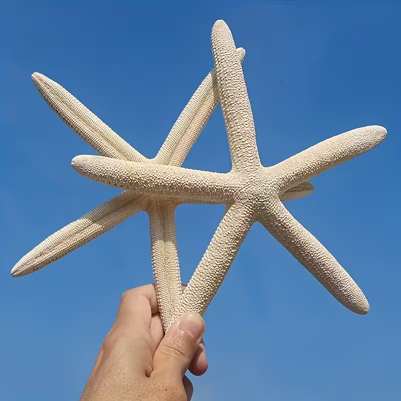 Coastal Reef Realistic Starfish Set – Decorative Resin Starfish (Set of 2)