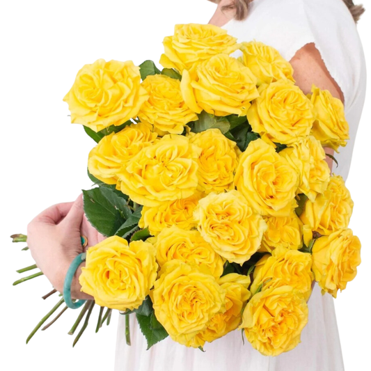 Yellow Garden Rose - 25 stem