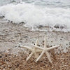 Coastal Reef Realistic Starfish Set – Decorative Resin Starfish (Set of 2)