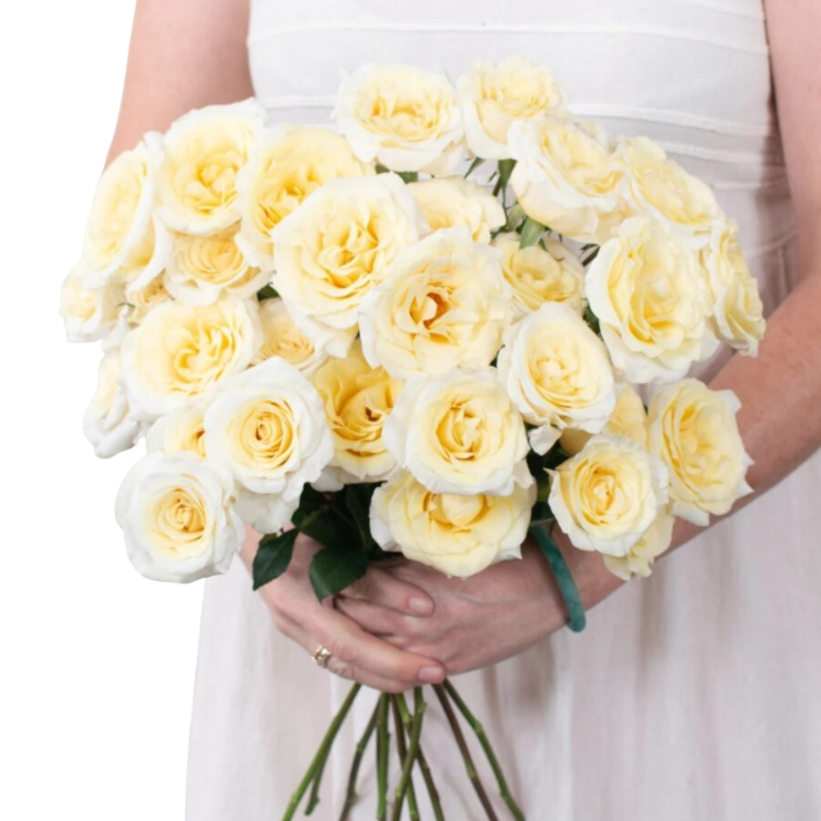 Butter Yellow Spray Roses - 50 stem