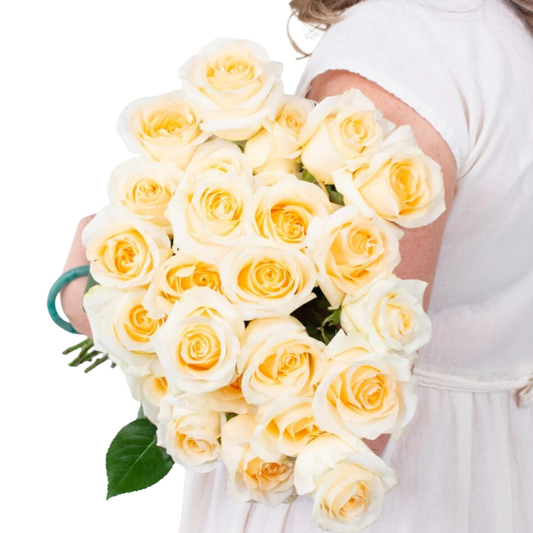 Butter Yellow Creme de la Creme Roses - 25 stem