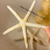 Coastal Reef Realistic Starfish Set – Decorative Resin Starfish (Set of 2)