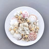 Ocean Treasure Mini Seashell Scatter – Natural Decorative Seashells (100 Pieces)