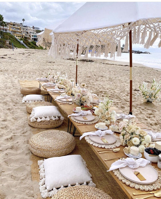 Beach Picnic Setup