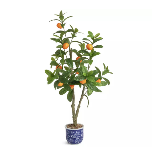Lemon Tree - Fresh leaves & lemons