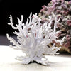 Ocean Reef Decorative Coral Accent – 8.5cm x 9cm