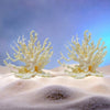 Ocean Reef Decorative Coral Accent – 8.5cm x 9cm