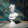 Apollo Bust Sculpture 30cm – Luxury Greek Statue Prop
