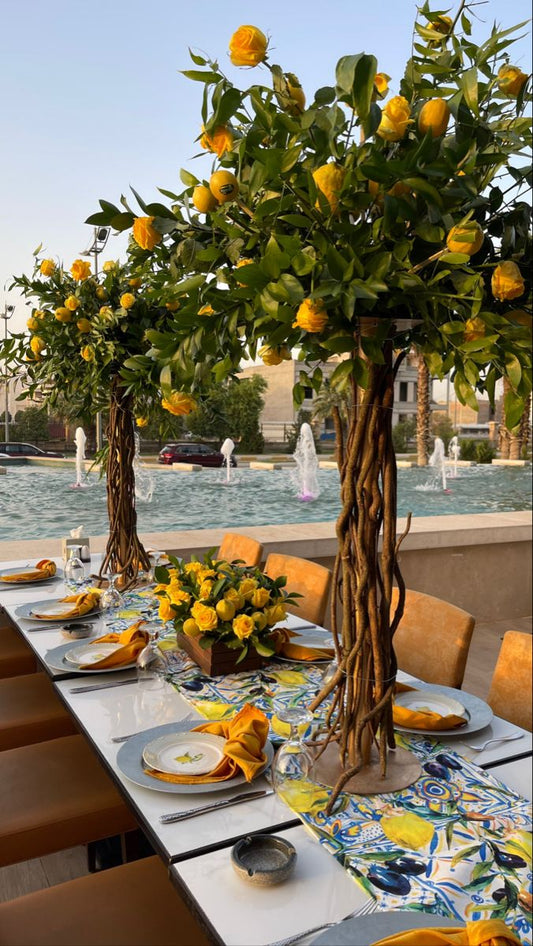 🇮🇹 Amalfi Lemon Tree
