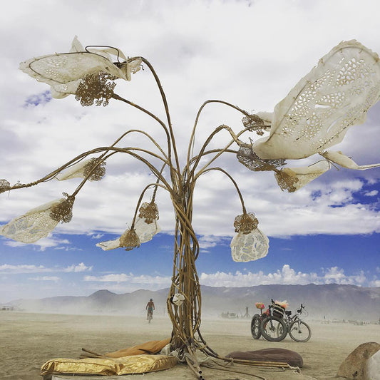 Burning Man – “Desert Mirage”