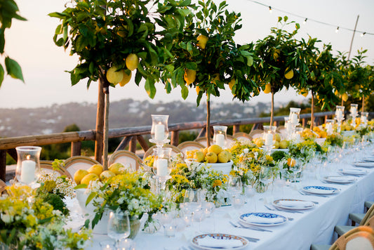 🇮🇹 Amalfi Lemon Tree