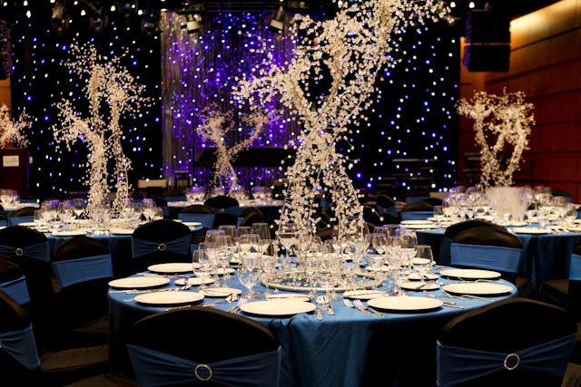 Celestial Soirée – “A Night Beneath the Stars”