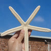 Coastal Reef Realistic Starfish Set – Decorative Resin Starfish (Set of 2)
