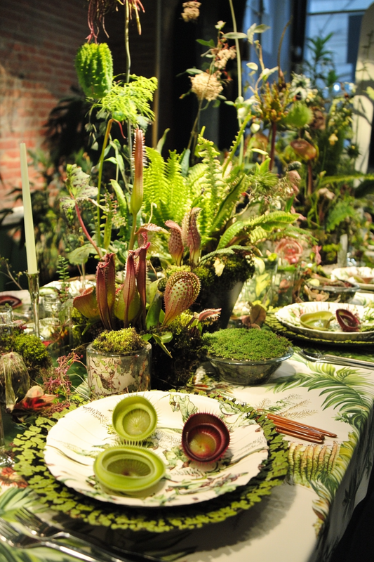 Enchanted Forest – “Midnight in the Garden”